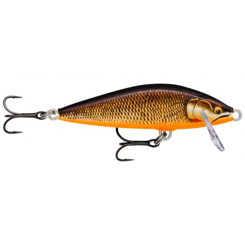 Rapala CountDown Elite CDE55 GDRFSHL Gilded Redfin Shiner